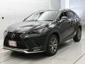 2019 Lexus NX
