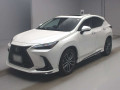 2024 Lexus NX