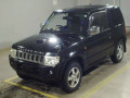 2011 Mitsubishi Pajero Mini