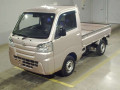 2020 Daihatsu Hijet Truck
