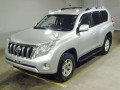 2013 Toyota Land Cruiser Prado