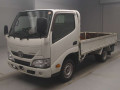 2019 Toyota Dyna Truck