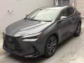 2023 Lexus NX