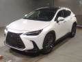 2023 Lexus NX