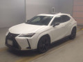 2021 Lexus UX