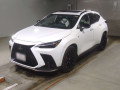 2022 Lexus NX