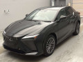 2023 Lexus RZ