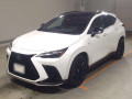 2024 Lexus NX