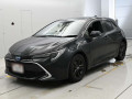 2021 Toyota Corolla Sports