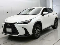 2023 Lexus NX
