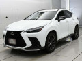 2024 Lexus NX