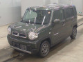 2024 Suzuki Hustler