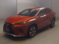 2019 Lexus NX