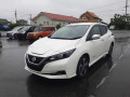 2018 Nissan Leaf