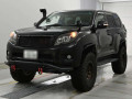 2011 Toyota Land Cruiser Prado