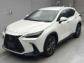 2023 Lexus NX