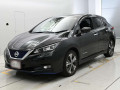 2019 Nissan Leaf