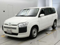 2020 Toyota Probox