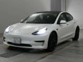 2020 Others MODEL 3