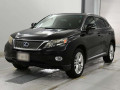 2009 Lexus RX