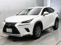 2018 Lexus NX