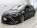 2019 Toyota Corolla Sports