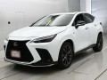 2021 Lexus NX