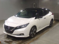 2017 Nissan Leaf