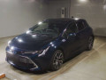 2021 Toyota Corolla Sports