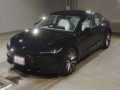 2024 Others MODEL 3