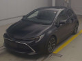 2020 Toyota Corolla Sports