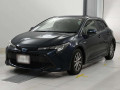 2019 Toyota Corolla Sports