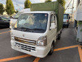 2020 Suzuki Carry Truck
