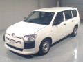 2019 Toyota Succeed