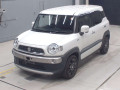 2019 Suzuki XBEE