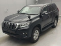 2021 Toyota Land Cruiser Prado