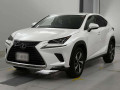 2019 Lexus NX
