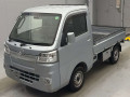 2020 Daihatsu Hijet Truck