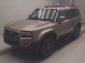2025 Toyota Land Cruiser 250