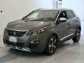 2019 Peugeot 3008