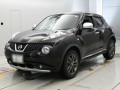 2013 Nissan JUKE