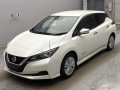 2019 Nissan Leaf