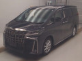 2021 Toyota Alphard