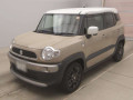 2020 Suzuki XBEE