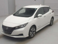 2021 Nissan Leaf