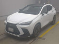 2025 Lexus NX