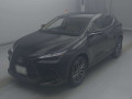 2025 Lexus NX