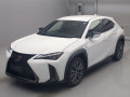 2020 Lexus UX