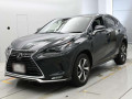 2020 Lexus NX
