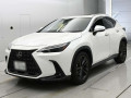 2022 Lexus NX
